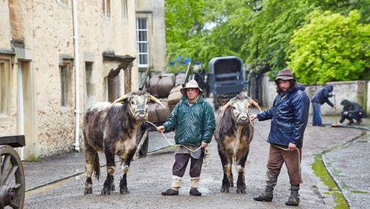Two men dressed in waterproof clothing stand on the set of a period drama. Both are holding onto a rope attached to a cow.